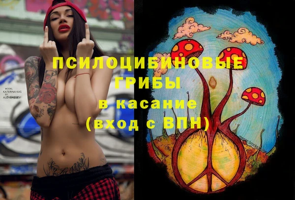 мяу мяу мука Нягань