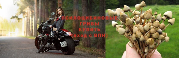 MESCALINE Нязепетровск