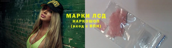 спайс Аркадак