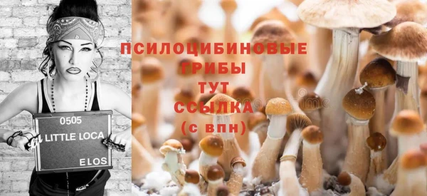 спайс Аркадак