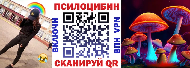 дарк нет клад  закладка  Сальск  Псилоцибиновые грибы Psilocybe 